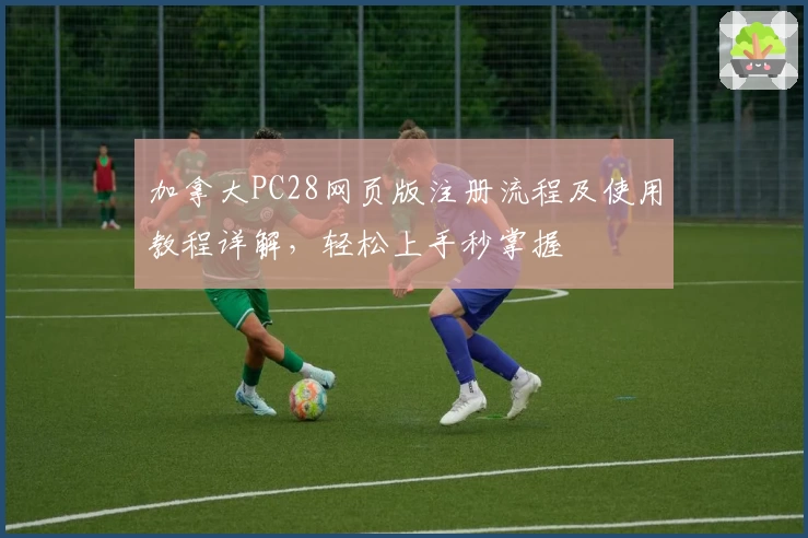 加拿大PC28网页版注册流程及使用教程详解，轻松上手秒掌握