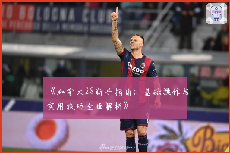 《加拿大28新手指南：基础操作与实用技巧全面解析》