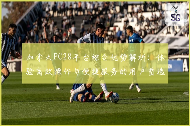 加拿大PC28平台综合优势解析：体验高效操作与便捷服务的用户首选