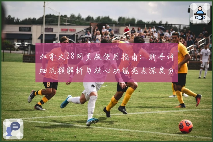 加拿大28网页版使用指南：新手详细流程解析与核心功能亮点深度分析