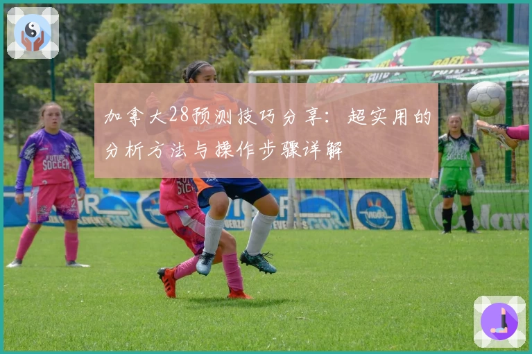 加拿大28预测技巧分享：超实用的分析方法与操作步骤详解