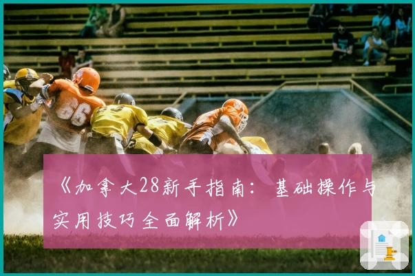 《加拿大28新手指南：基础操作与实用技巧全面解析》
