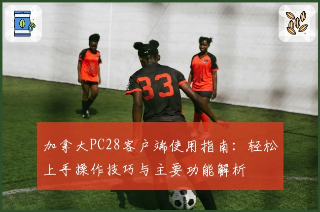 加拿大PC28客户端使用指南：轻松上手操作技巧与主要功能解析